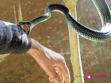 单身女人梦到自己被蛇咬了