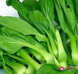 新鲜的绿叶菜怎么储存