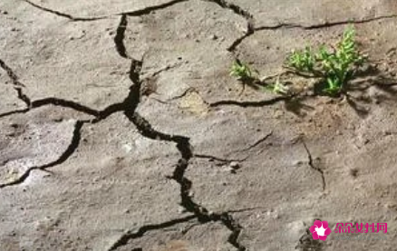 梦见地裂逃生是什么意思