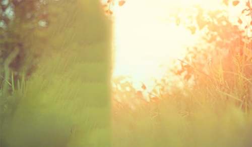 唯美动人的情话好句摘抄