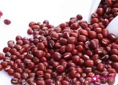 红豆的象征意义