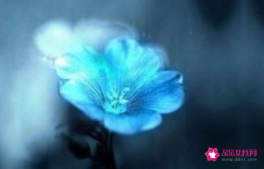 怎么摆正自己对生活的的态度