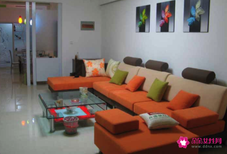 家中风水植物怎么摆放