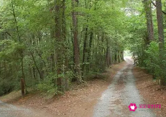 梦见突然发现一条路