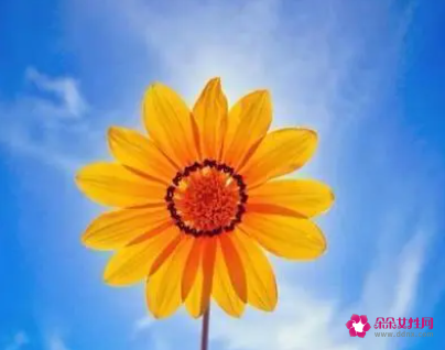 最新的团员自我鉴定