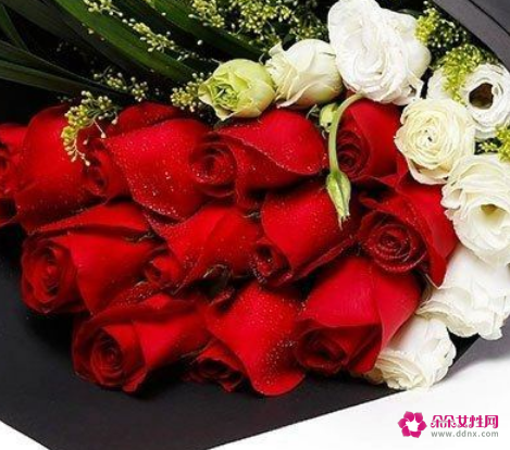 520表白送什么花