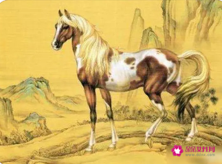 属马人开什么车最旺