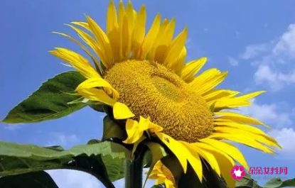 以中学生形象为话题的作文