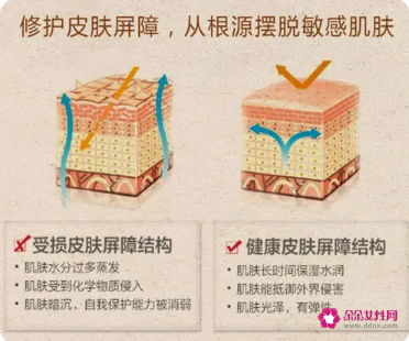 敏感肌肤的特征