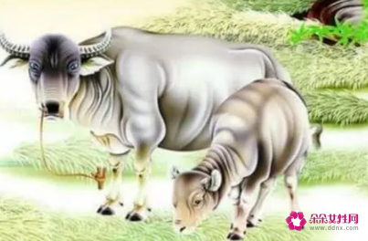 猪和牛相配婚姻如何