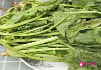 菠菜不适合哪些人吃