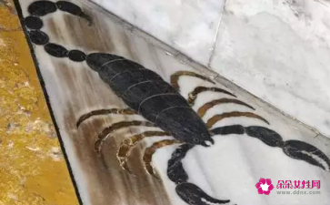 天蝎座和谁注定是夫妻