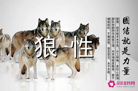 狼性口号霸气押韵8字