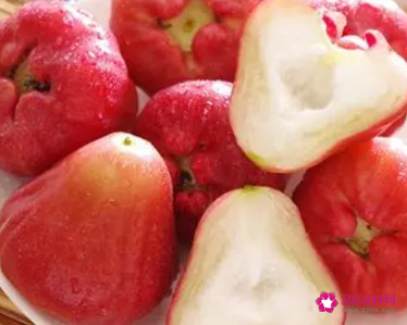 莲雾的保存方法和冰箱保持莲雾需要注意什么