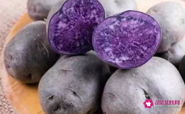 能一周瘦10斤的减肥食谱