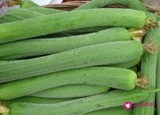 丝瓜不能吃的人群