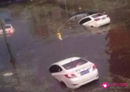 梦见开车掉到水里