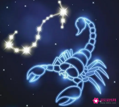 为什么天蝎女看起来就很厉害