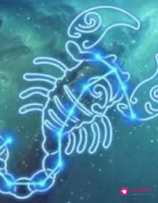 天蝎座分为哪几种天蝎