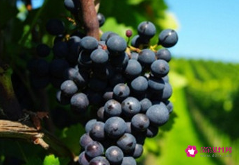 抗皱纹最好的办法