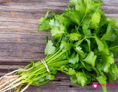 春天种的蔬菜有哪些