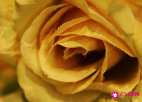 水瓶女是摩羯男的克星