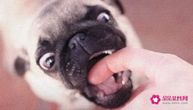 做梦梦到自己被狗咬