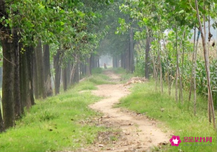 梦见乡下小路是什么意思