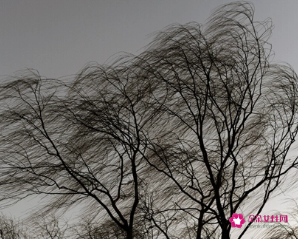 梦见风大的寓意