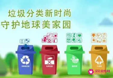 死植物属于什么垃圾