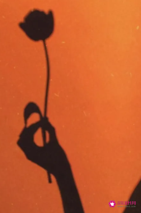 天秤女为什么气质好