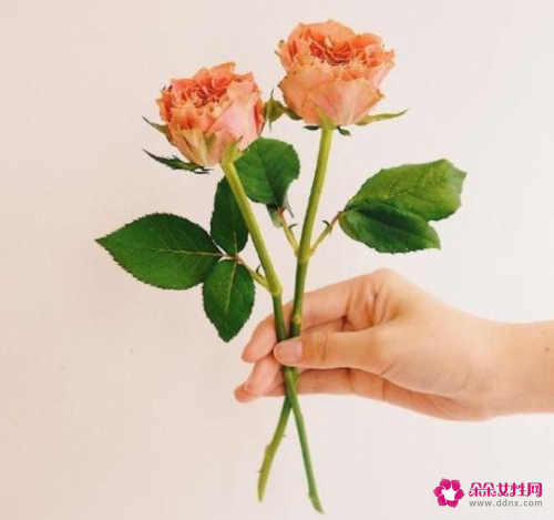 写给情侣的暖心话短句