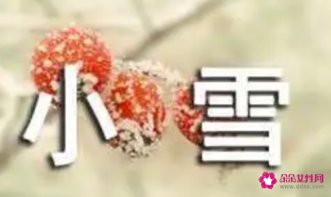 小雪节气的演讲稿