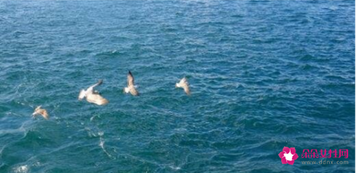 世界上最小的海是什么海