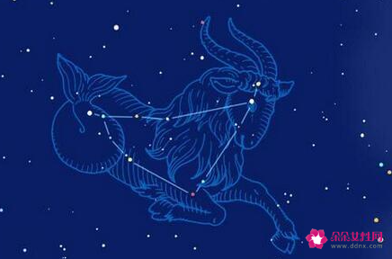 痴情到极致的星座女