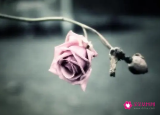 表达自己无奈的微信名