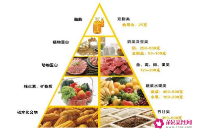 7大营养素的特点和作用