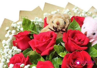 520表白送什么花