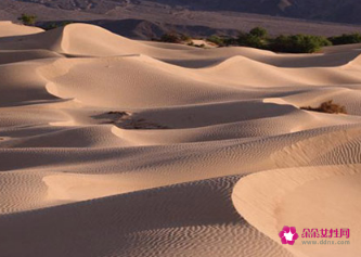 沙中土命住几楼好