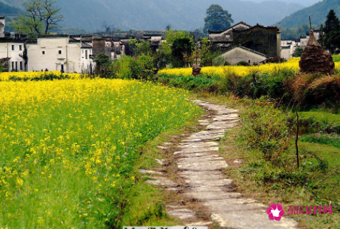 梦见乡下小路是什么意思