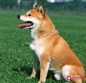 男生有什么样的性格特点