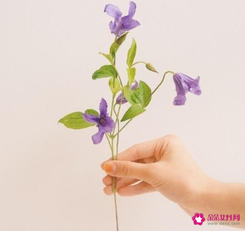 写给情侣的暖心话短句