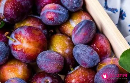 减肥期间可以吃西梅吗