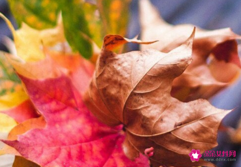 水瓶女是摩羯男的克星