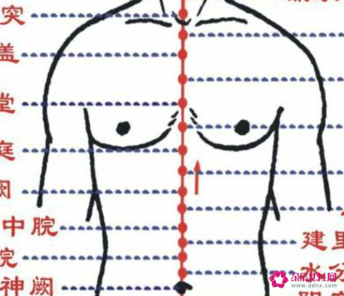 人体的各个经络名称