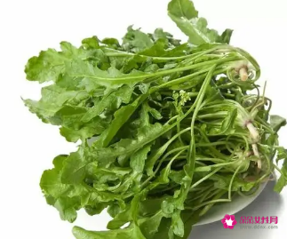 多吃荠菜的好处