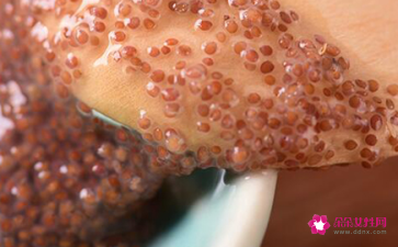 海藻面膜敷脸技巧