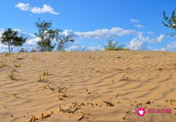 沙中土命住几楼好