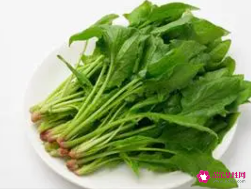 菠菜的功效与作用禁忌和食用方法