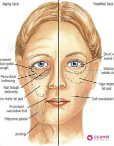 轻熟肌和熟龄肌是几岁
